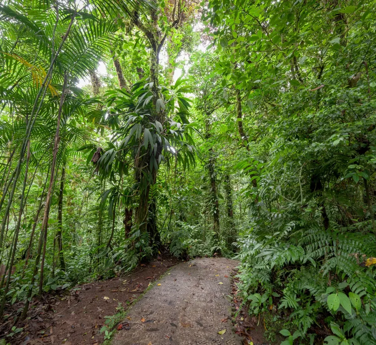 bigstock--189662749_BAJA