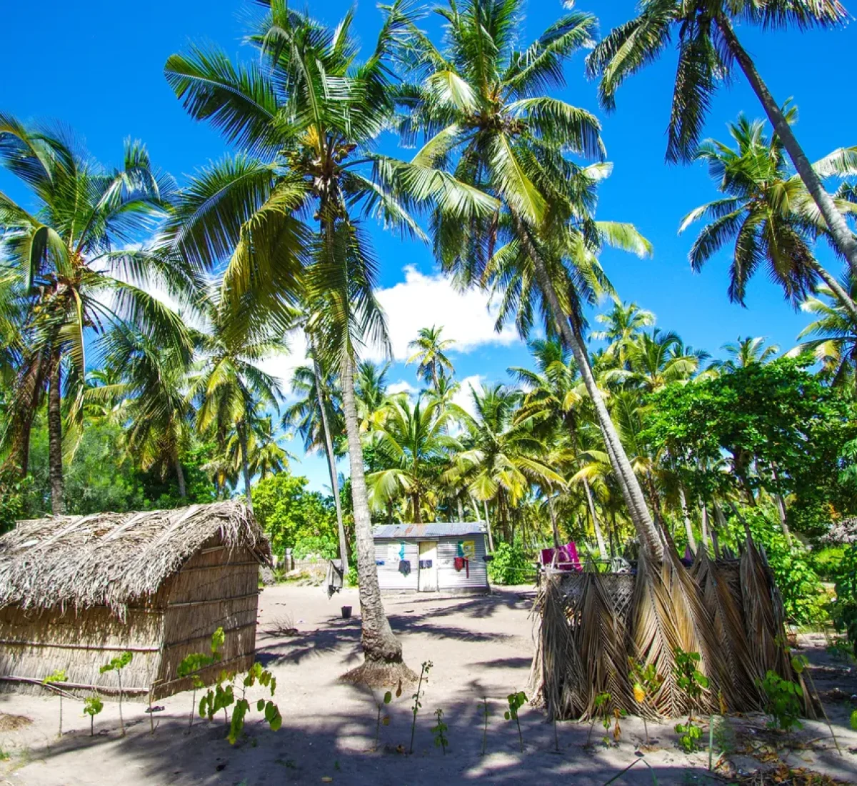 bigstock--199261303_BAJA