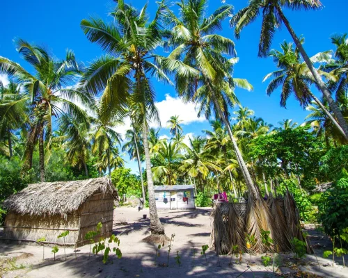 bigstock--199261303_baja