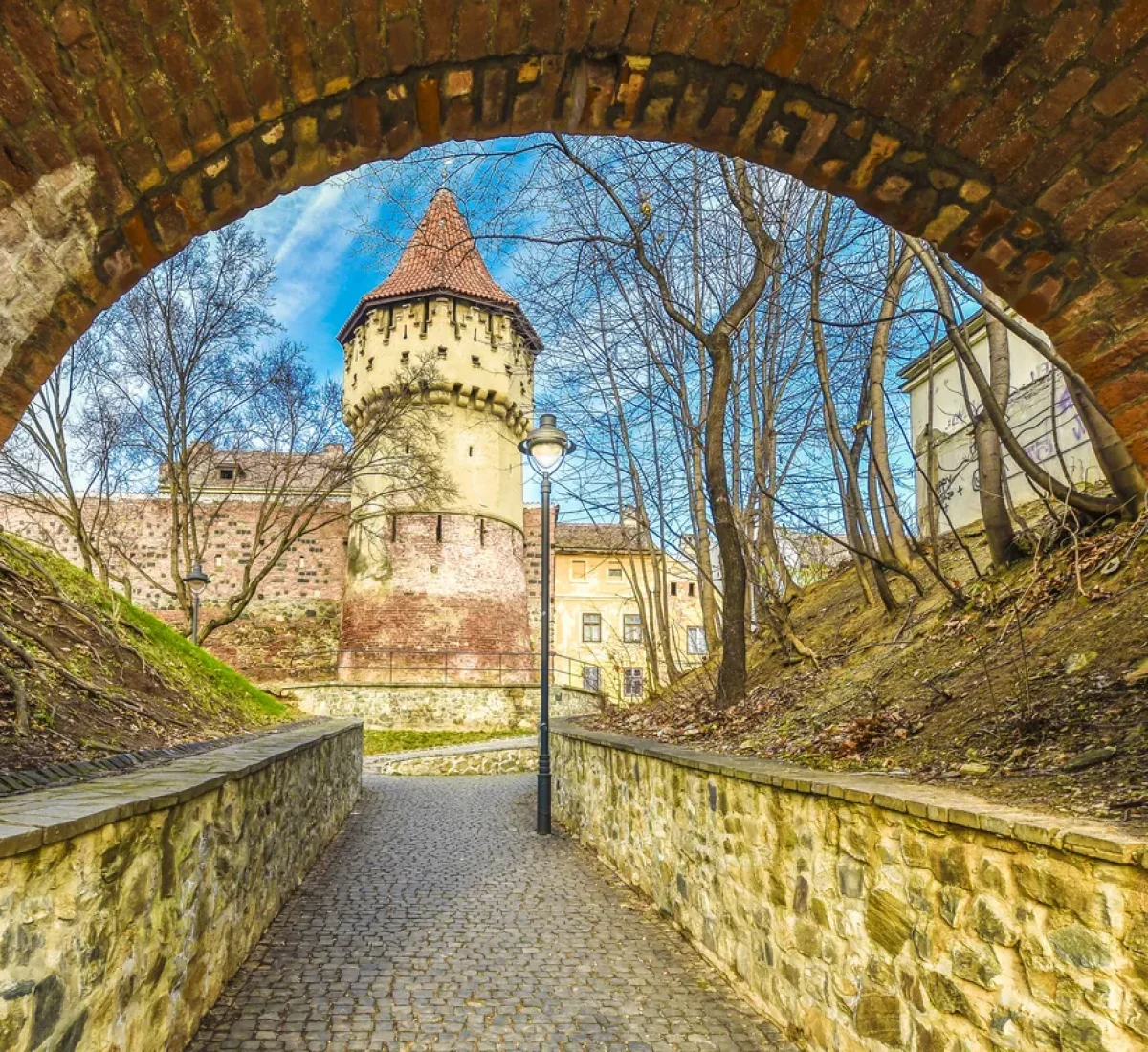 bigstock--204759580_BAJA