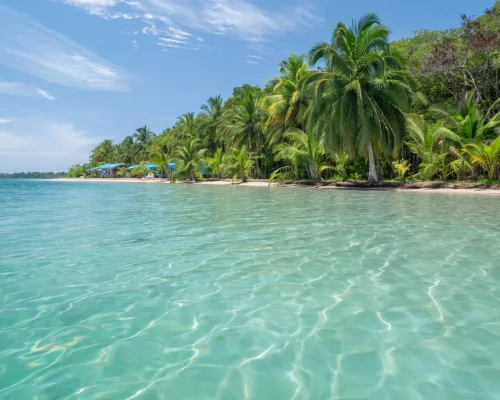 bigstock-Beach-in-bocas-del-toro-118438742_BAJA