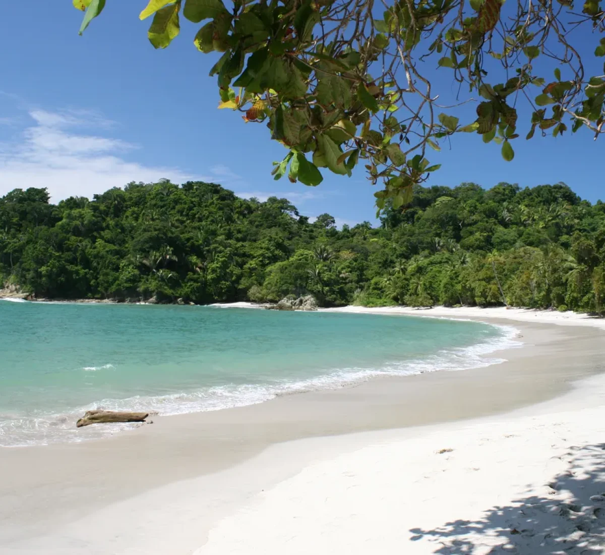 bigstock-Tropical-Beach-5170509_BAJA