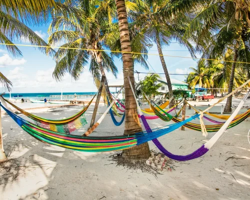 bigstock-Tropical-scene-hammocks-betwe-167167439_baja