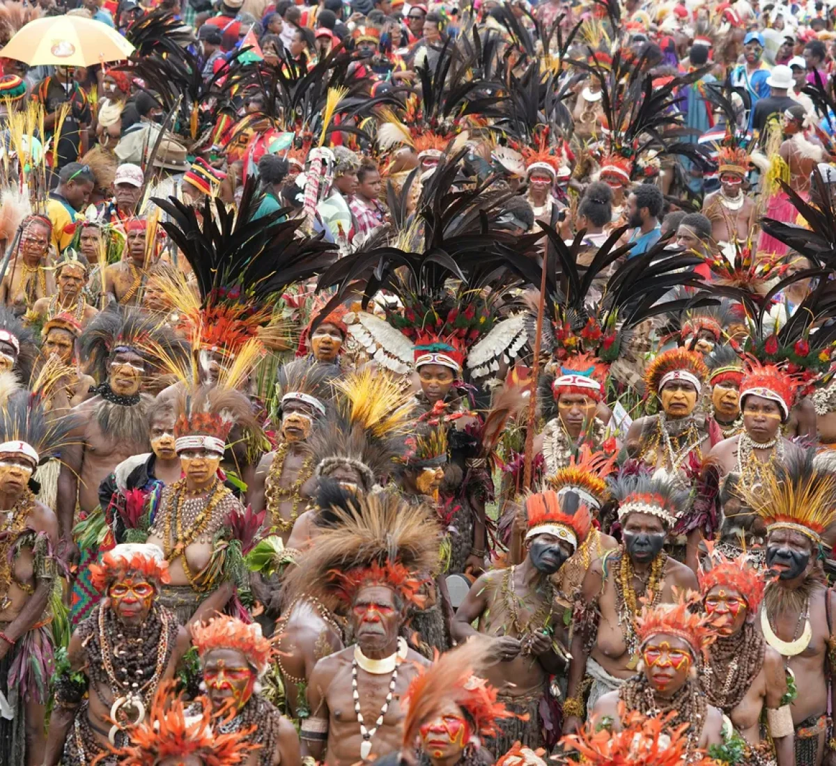 bob-brewer-GTKvjX784Og-unsplash_BAJA