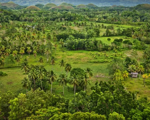 bohol_BAJA