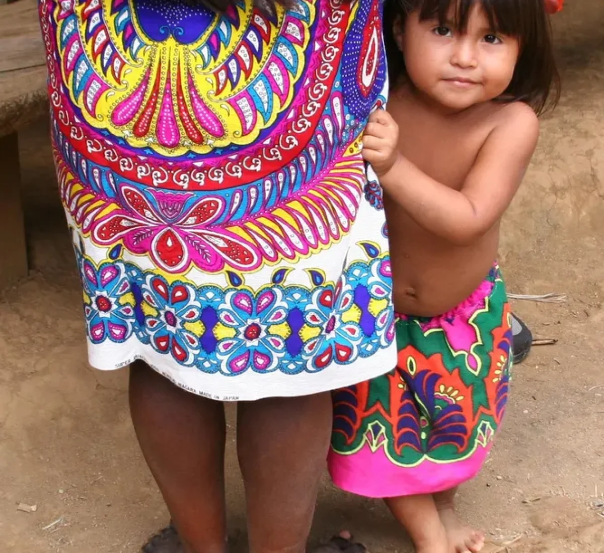 cgordon8527-panama-1331569_1920_BAJA