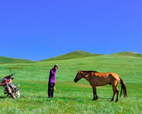 erdenebayar-countryside-736506_1920_BAJA