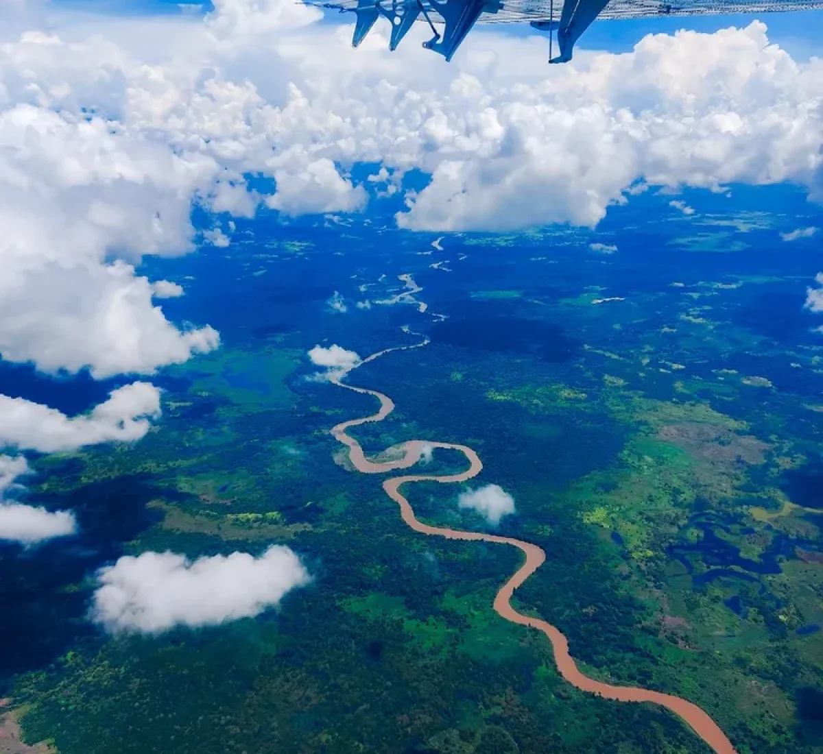 flight-5996822_1280_BAJA