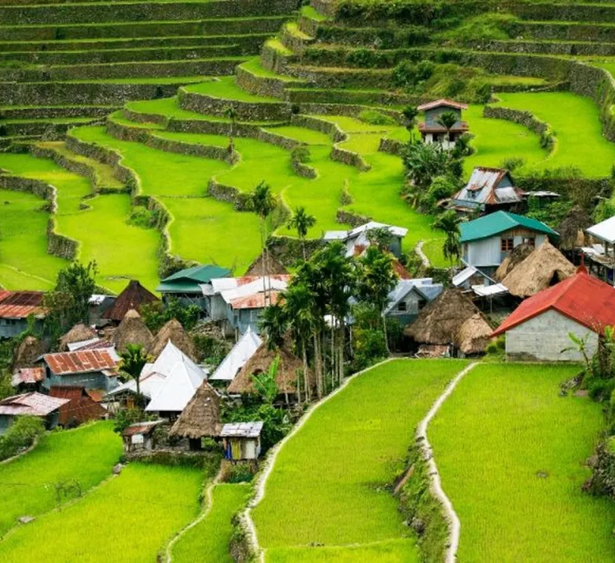 foto_de_ruta_por_arrozales_buceo_y_playas_de_ensuenno_2_BAJA