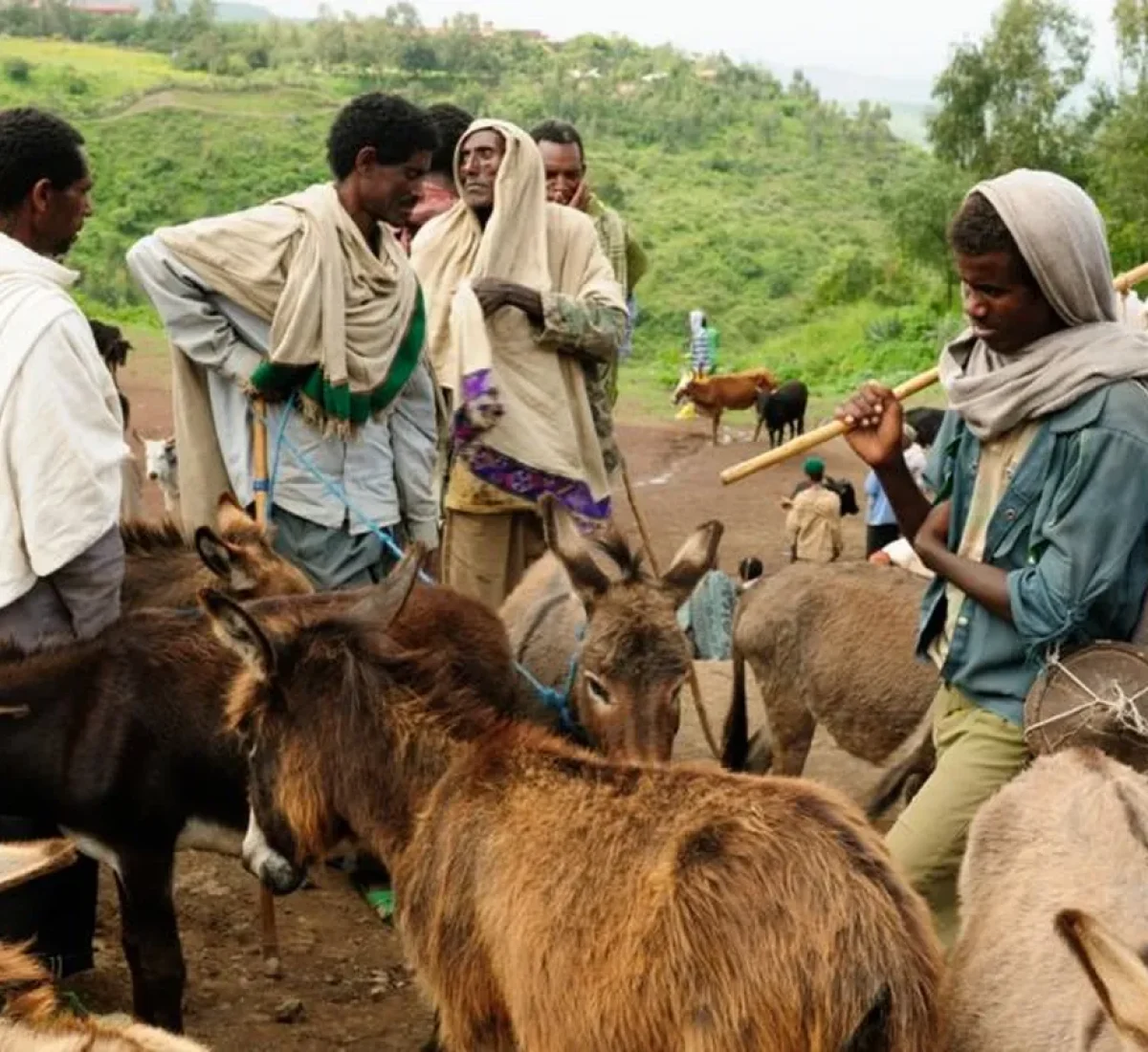 foto_de_ruta_por_el_volcan_erta_ale_y_la_depresion_de_danakil_6_BAJA