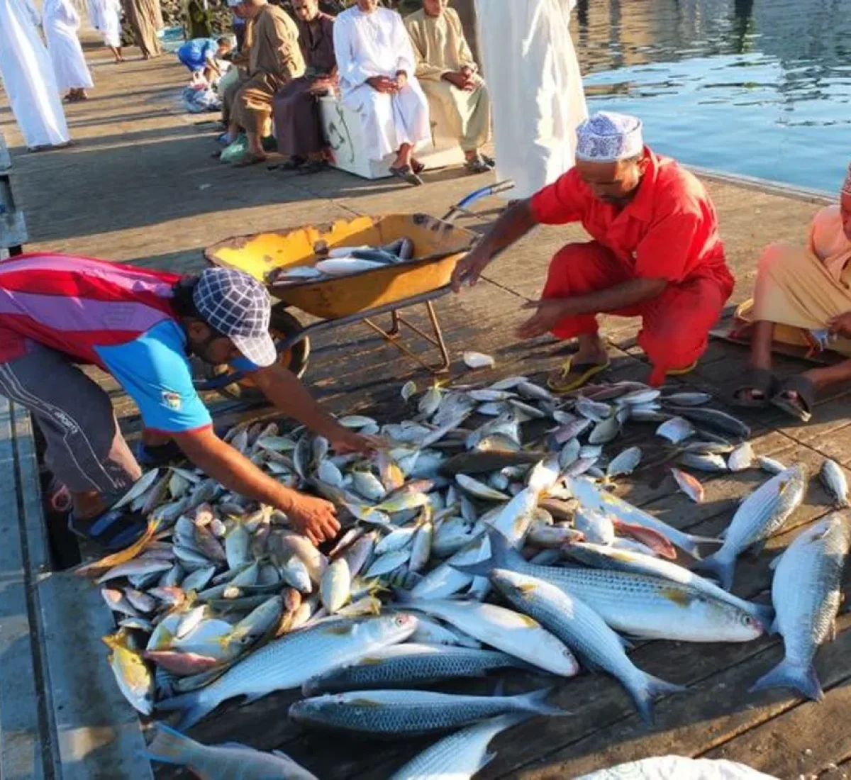 foto_de_ruta_por_los_tesoros_del_desierto_5_BAJA