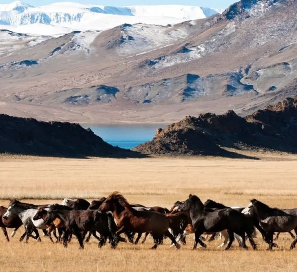 foto_de_ruta_por_tras_los_pasos_de_gengis_kan_2_2_BAJA