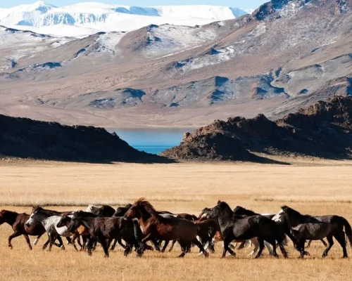 foto_de_ruta_por_tras_los_pasos_de_gengis_kan_2_2_BAJA