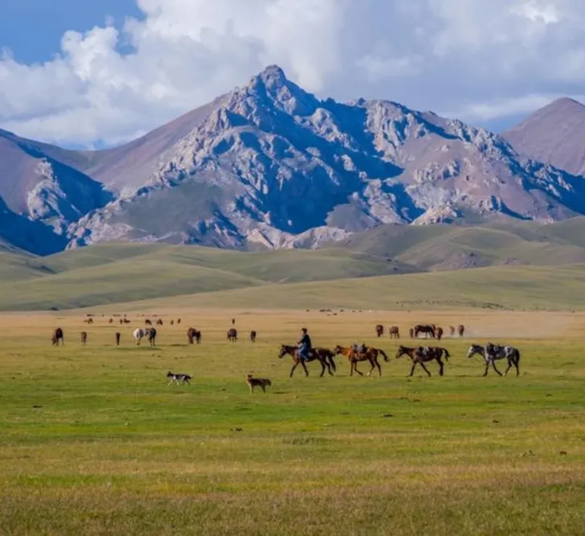 foto_de_ruta_por_tras_los_pasos_de_gengis_kan_8_8_BAJA