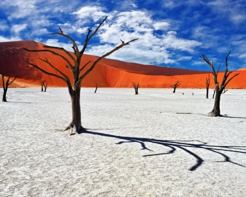 foto_de_ruta_por_tras_los_pasos_de_livingstone_2_2_BAJA