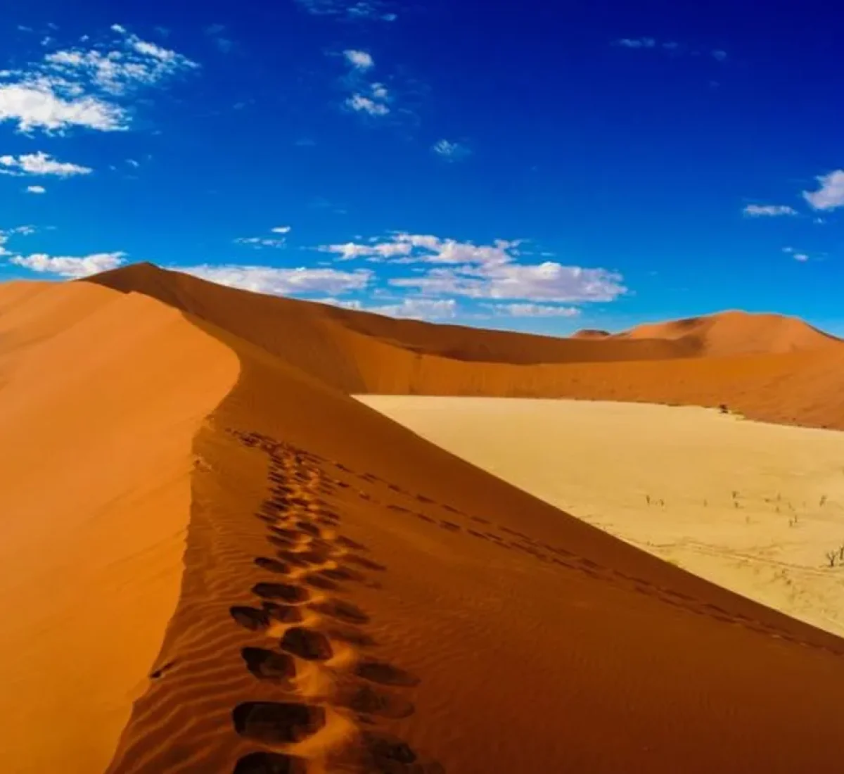 foto_de_ruta_por_tras_los_pasos_de_livingstone_5_5_BAJA