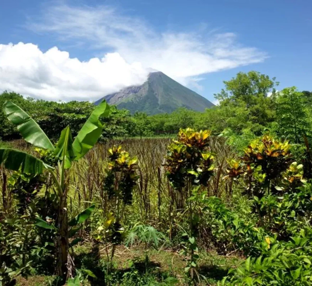 foto_de_ruta_por_volcanes_de_centroamerica_descubriendo_volcanes_5_BAJA
