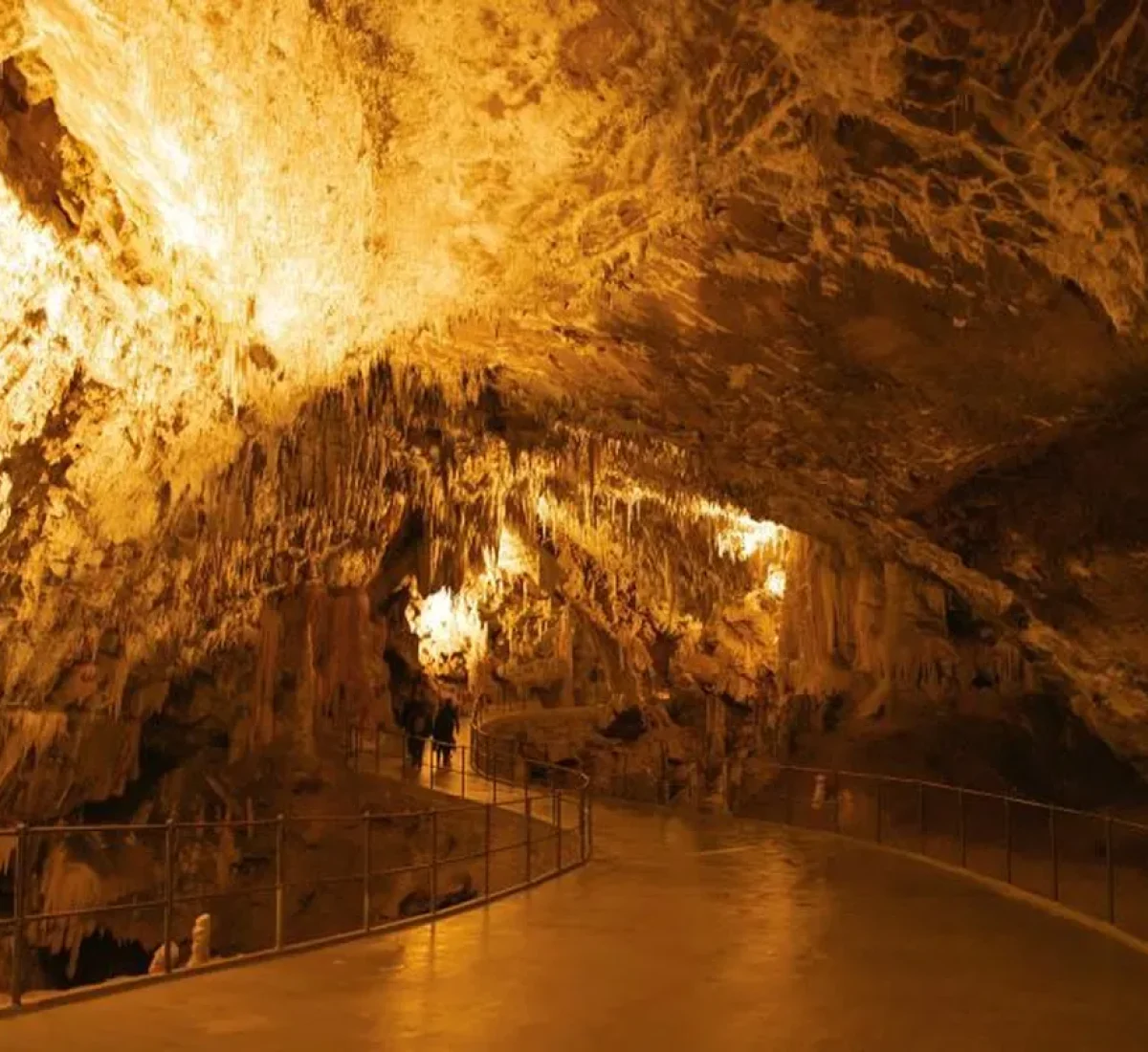 galeria_de_eslovenia_13_BAJA