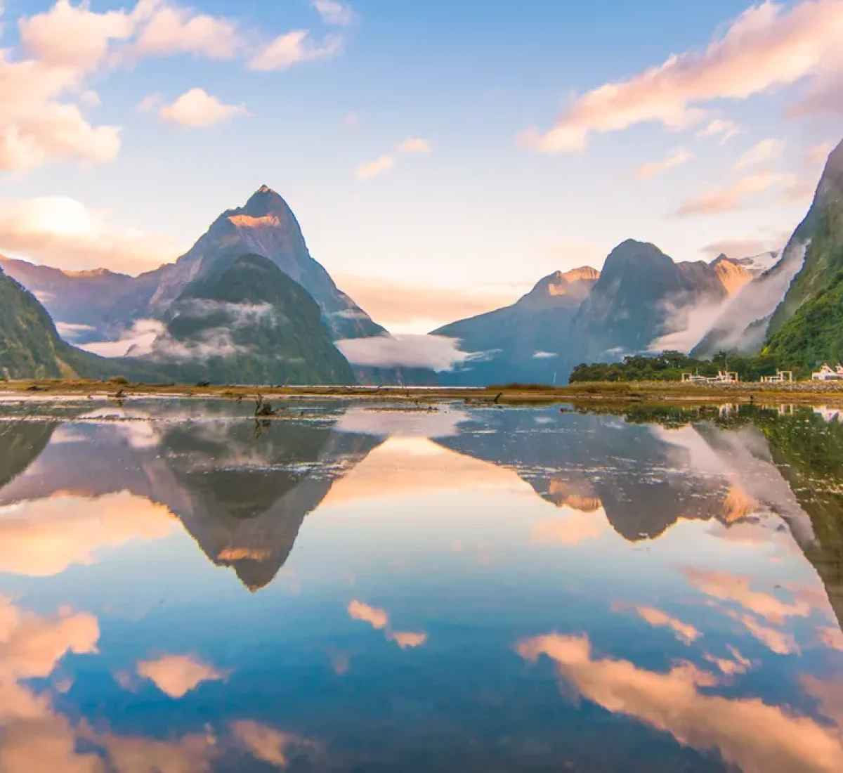 iStock-1006611948_BAJA