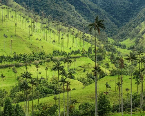 iStock-1031646074_BAJA