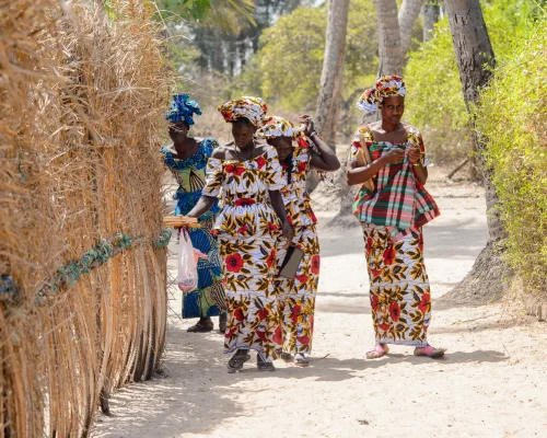 iStock-1039871720_baja