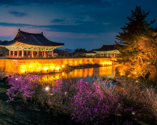 iStock-1066063496_baja