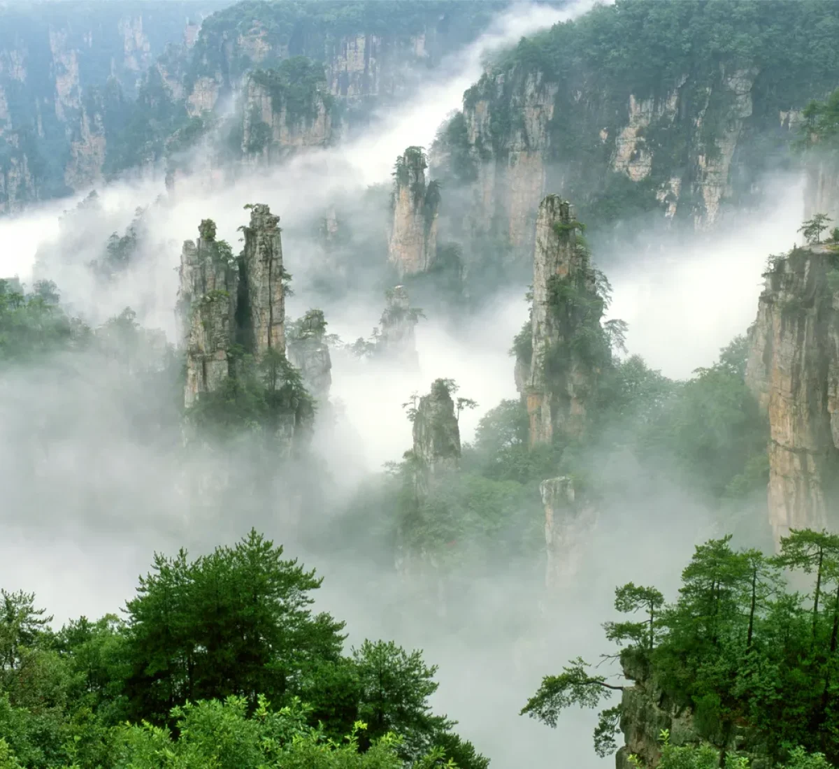 iStock-108219964_BAJA