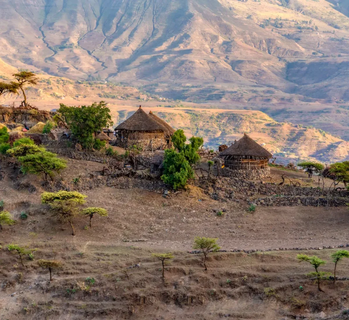 iStock-1155629288_BAJA