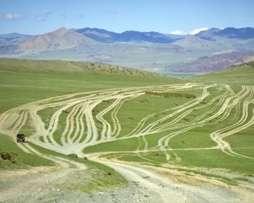 iStock-1163930731_BAJA