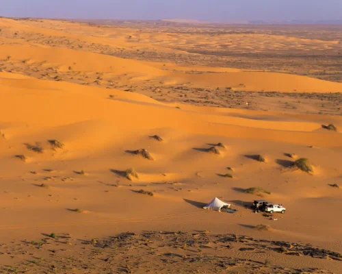 iStock-1169780436_resultado_baja