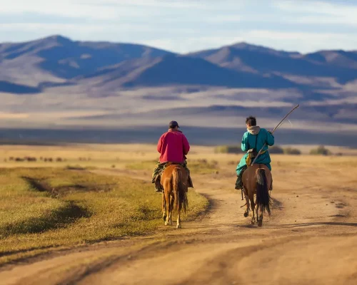 iStock-1180817823_baja