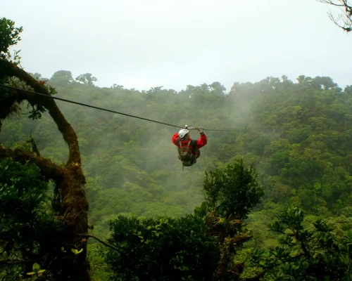 iStock-1198862516_BAJA