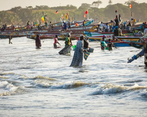 iStock-1218940651_baja