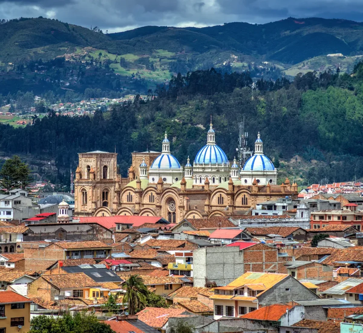 iStock-1223830840_BAJA