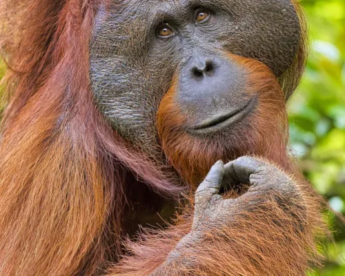 iStock-1248256963_baja