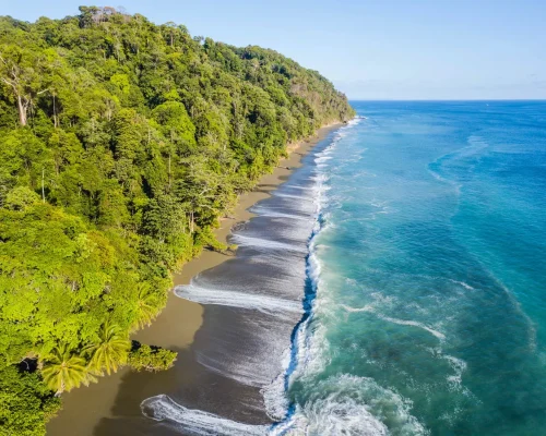 iStock-1269289088_BAJA