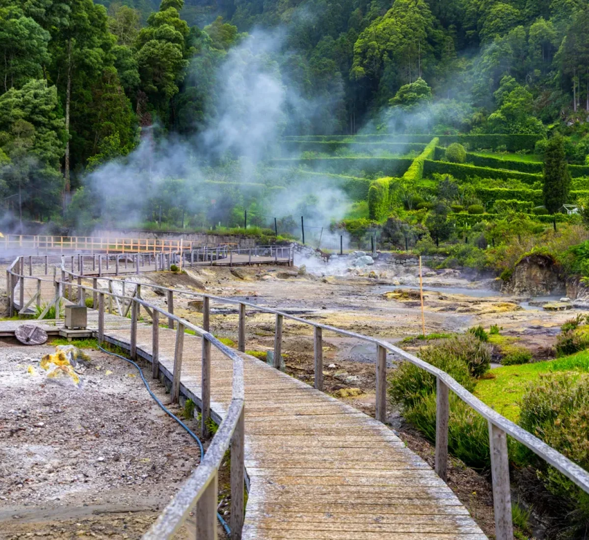 iStock-1271420898_BAJA