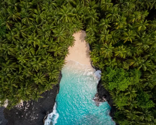 iStock-1283828361_baja