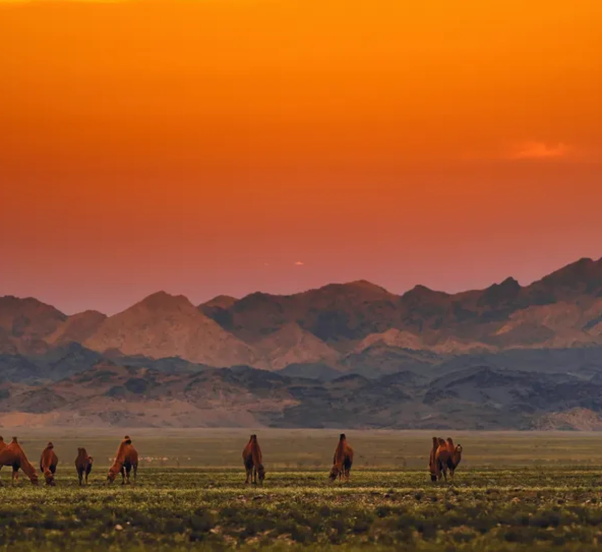 iStock-1284239057_BAJA