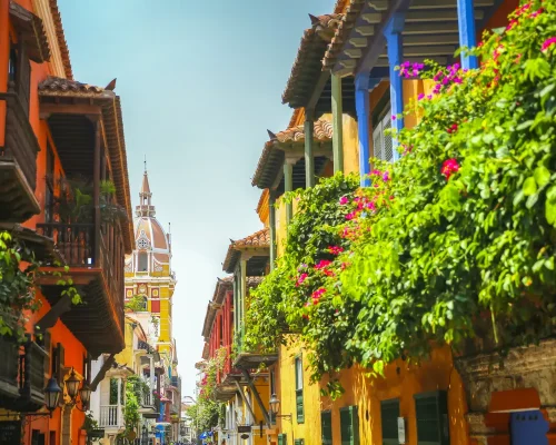 iStock-1292967541_BAJA