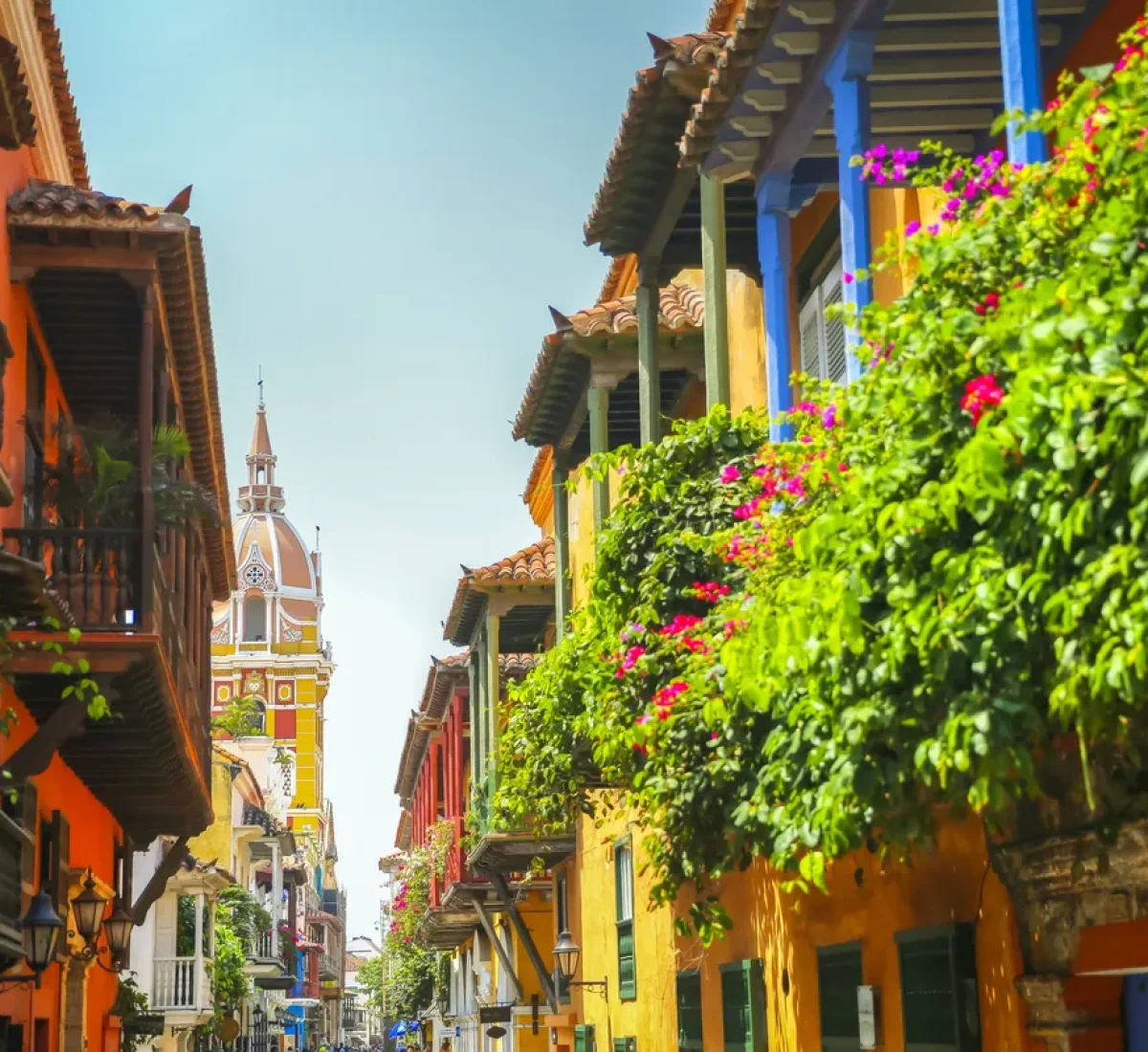 iStock-1292967541_BAJA