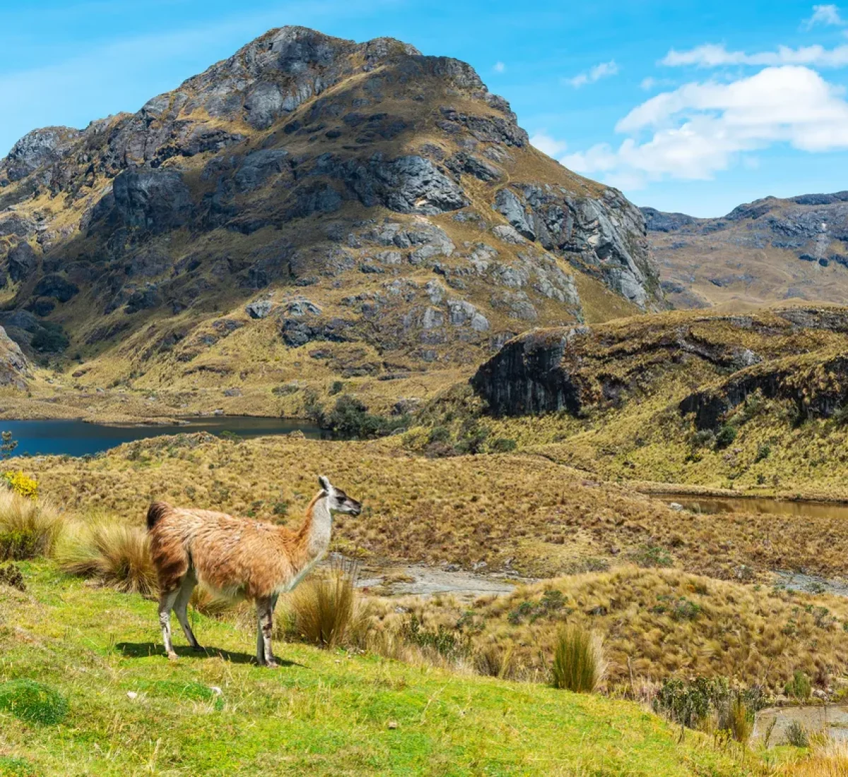 iStock-1345672089_BAJA