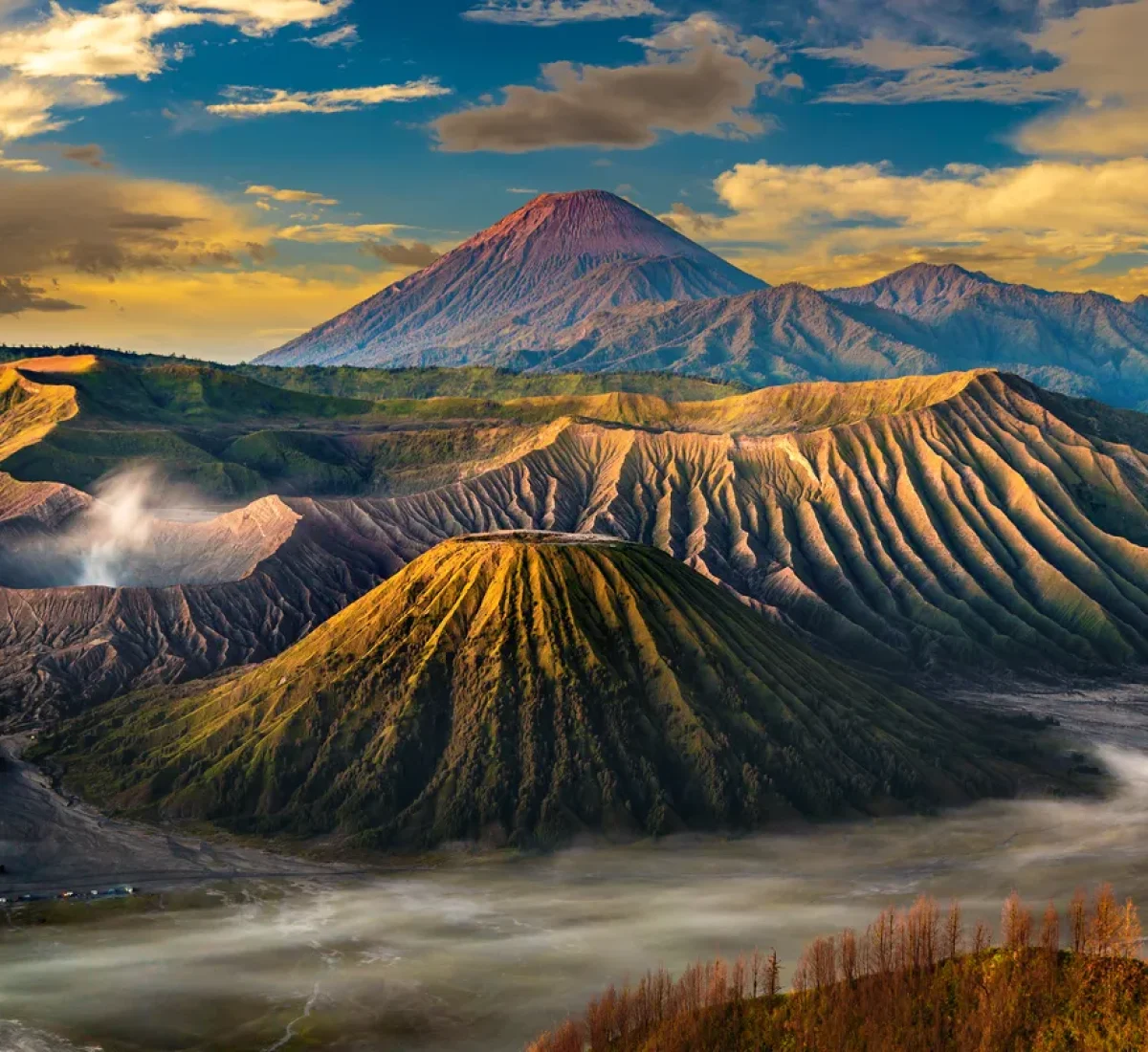 iStock-1361203525_BAJA