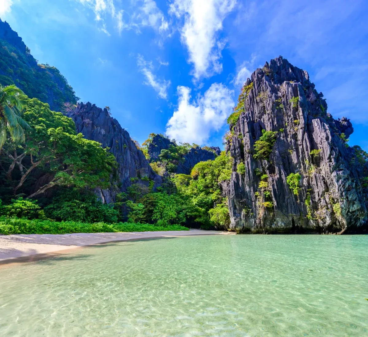 iStock-1387213912_BAJA