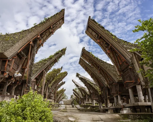 iStock-1418108998_baja