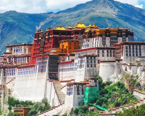 iStock-1423617929_baja