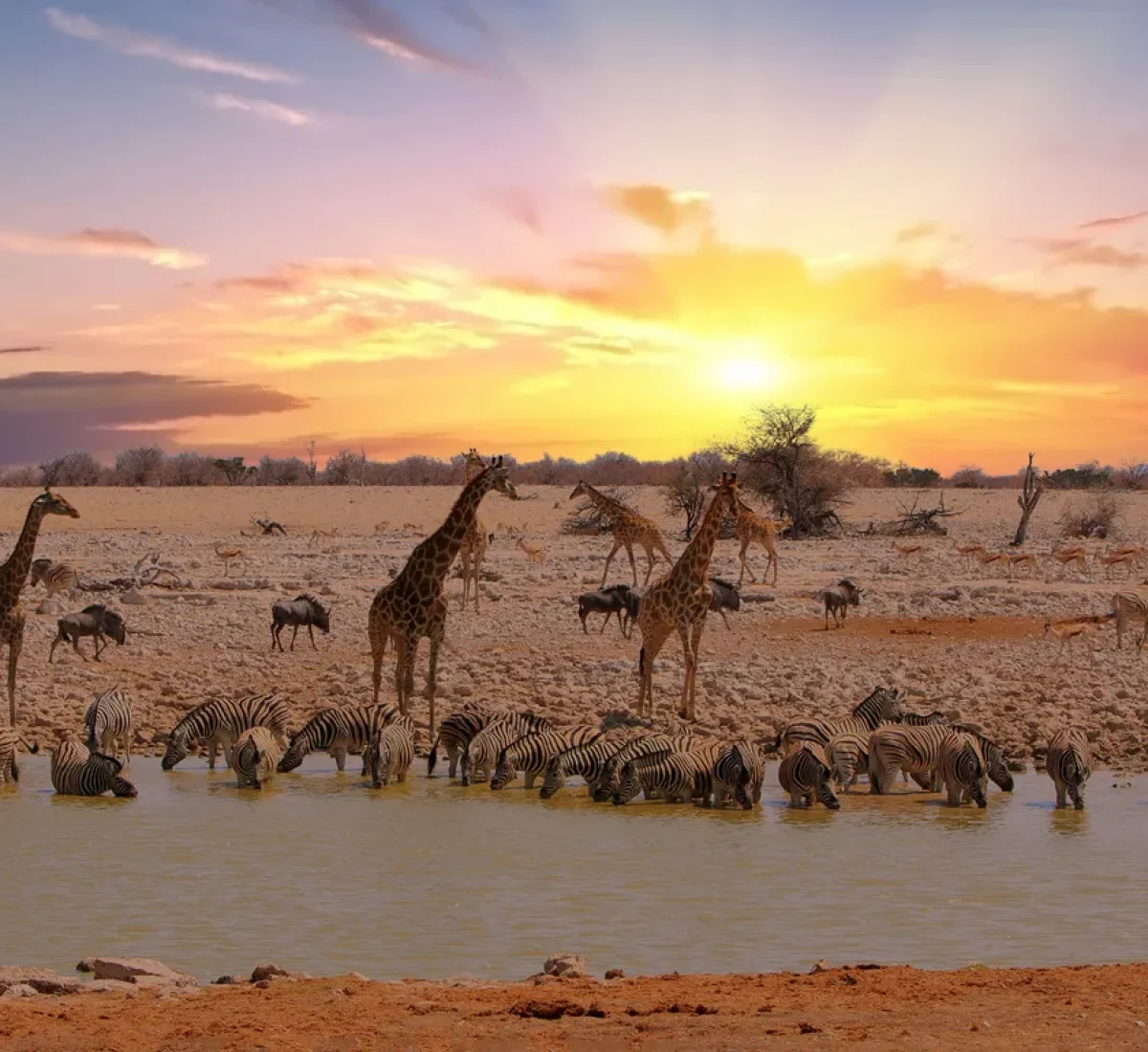 iStock-1429438076_BAJA