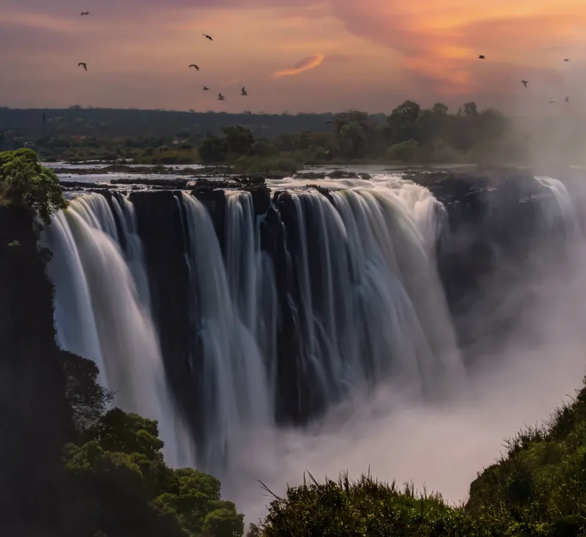 iStock-1434653466_BAJA