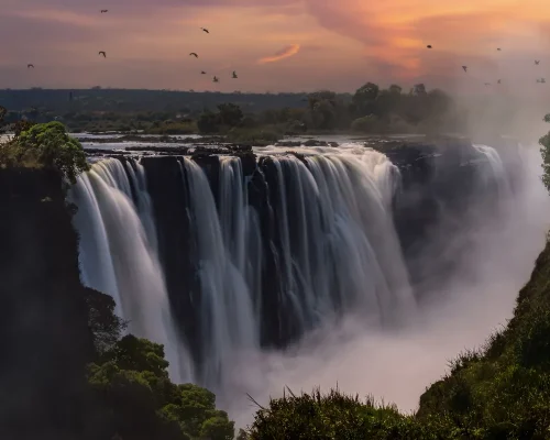 iStock-1434653466_BAJA