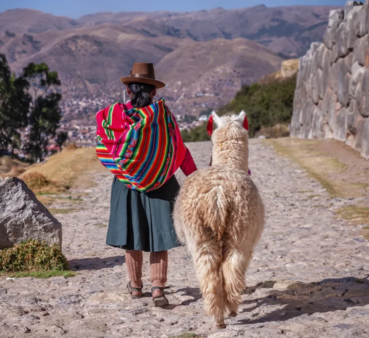 iStock-1456157163_BAJA